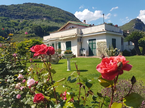 Áreas de la propiedad