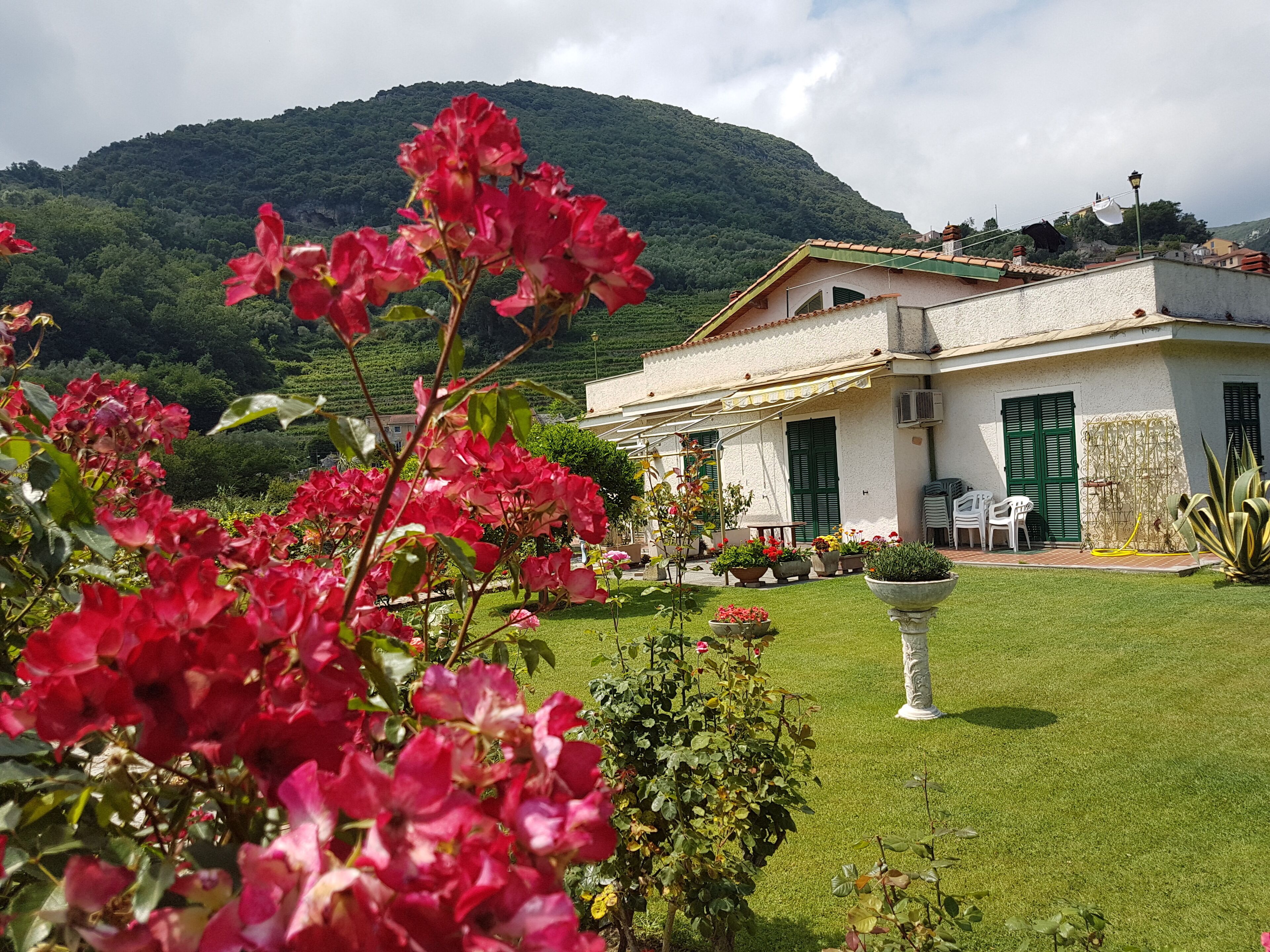 Une maison avec un jardin à l’avant, une montagne en arrière-plan et un bâtiment blanc avec une porte verte.