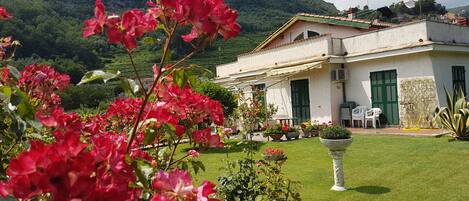 Une maison avec un jardin à l’avant, une montagne en arrière-plan et un bâtiment blanc avec une porte verte.
