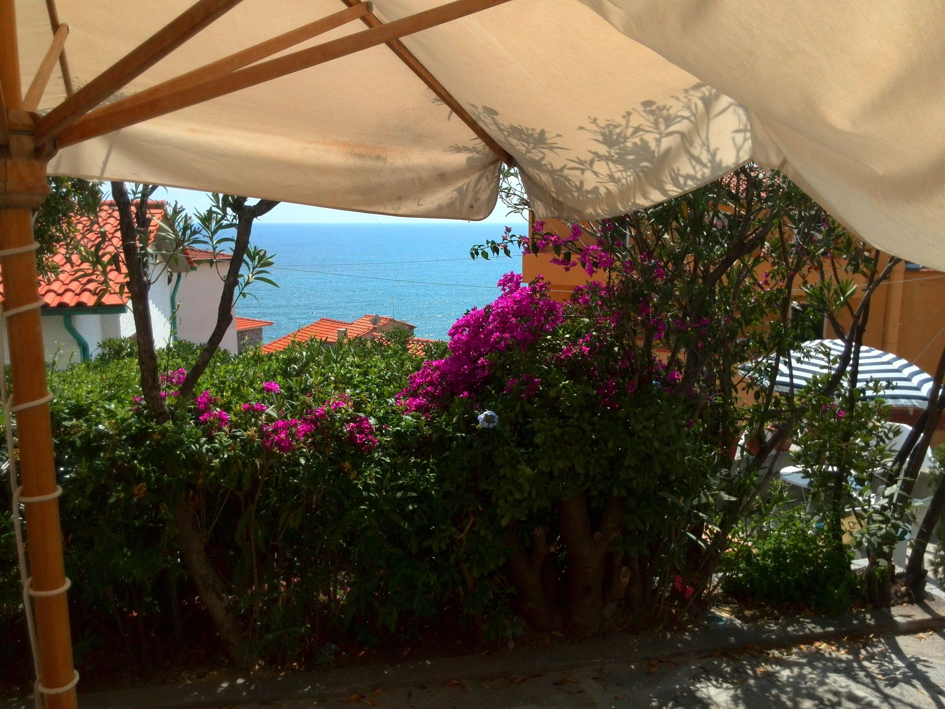 Un espace extérieur abrité, offrant une vue sur la mer, entouré de verdure et de fleurs roses.