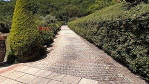 Ein gepflasterter Weg, der von ordentlich geschnittenen Hecken und einem hohen Nadelbaum gesäumt wird.