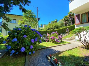 Un jardin agrémenté de buissons d’hortensias et d’un chemin menant à un bâtiment.