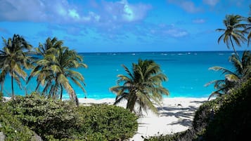 Plage, chaises longues