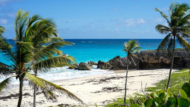 A beach with clear blue water, white sand, and palm trees.