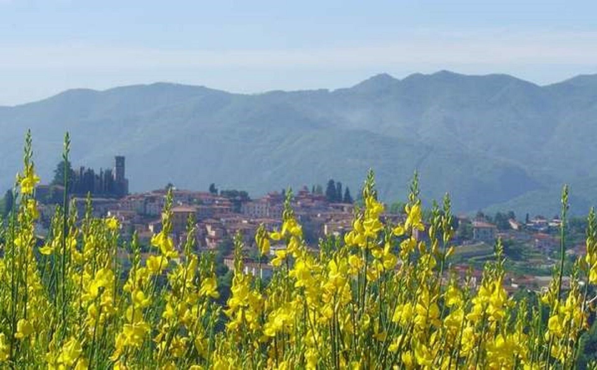 Un campo de flores amarillas con un pueblo y montañas al fondo.