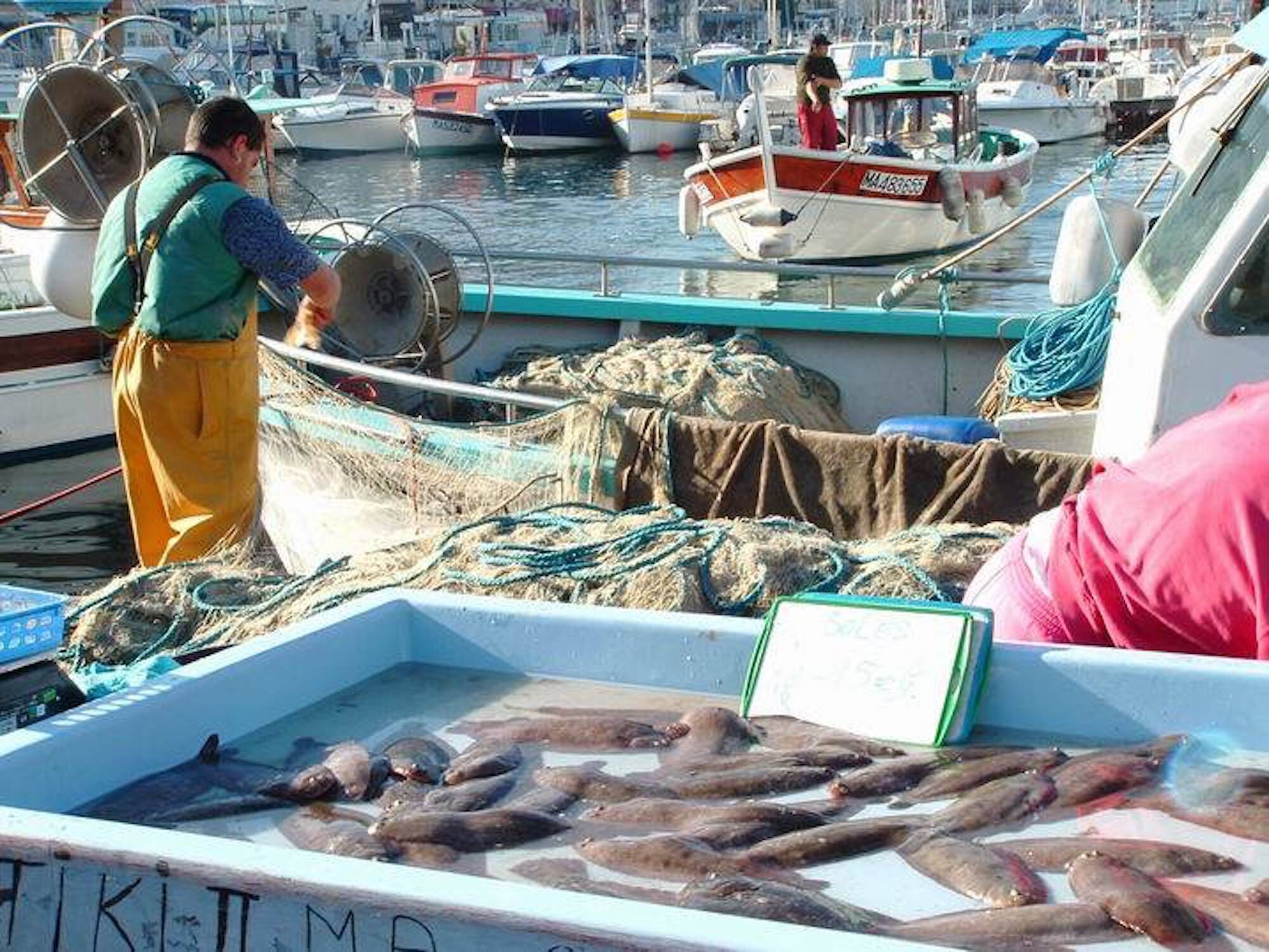 marché aux poissons du vieux-port