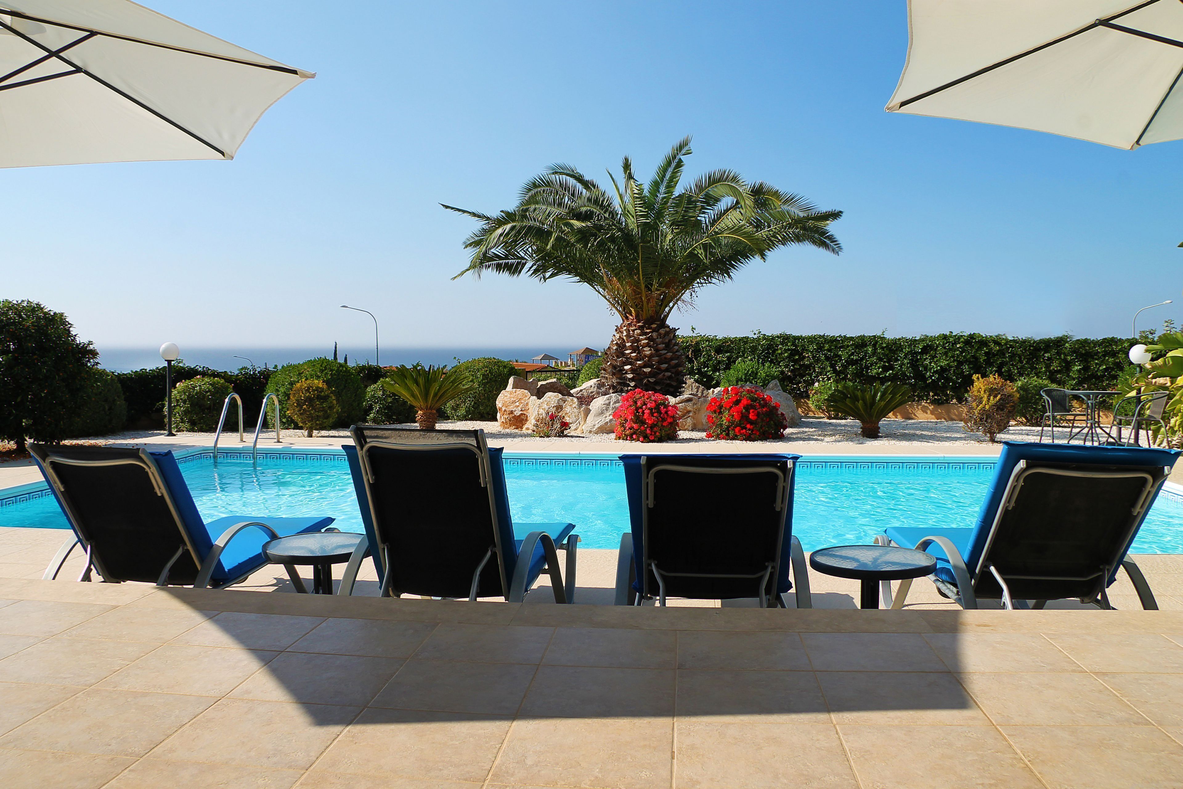 Ein Poolbereich mit Liegestühlen und Sonnenschirmen, eine Palme und Blick aufs Meer.