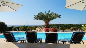 Ein Poolbereich mit Liegestühlen und Sonnenschirmen, eine Palme und Blick aufs Meer.
