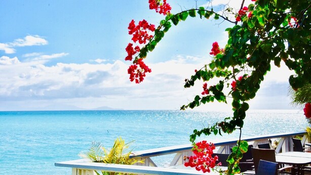 A seaside restaurant with outdoor seating overlooking the ocean.