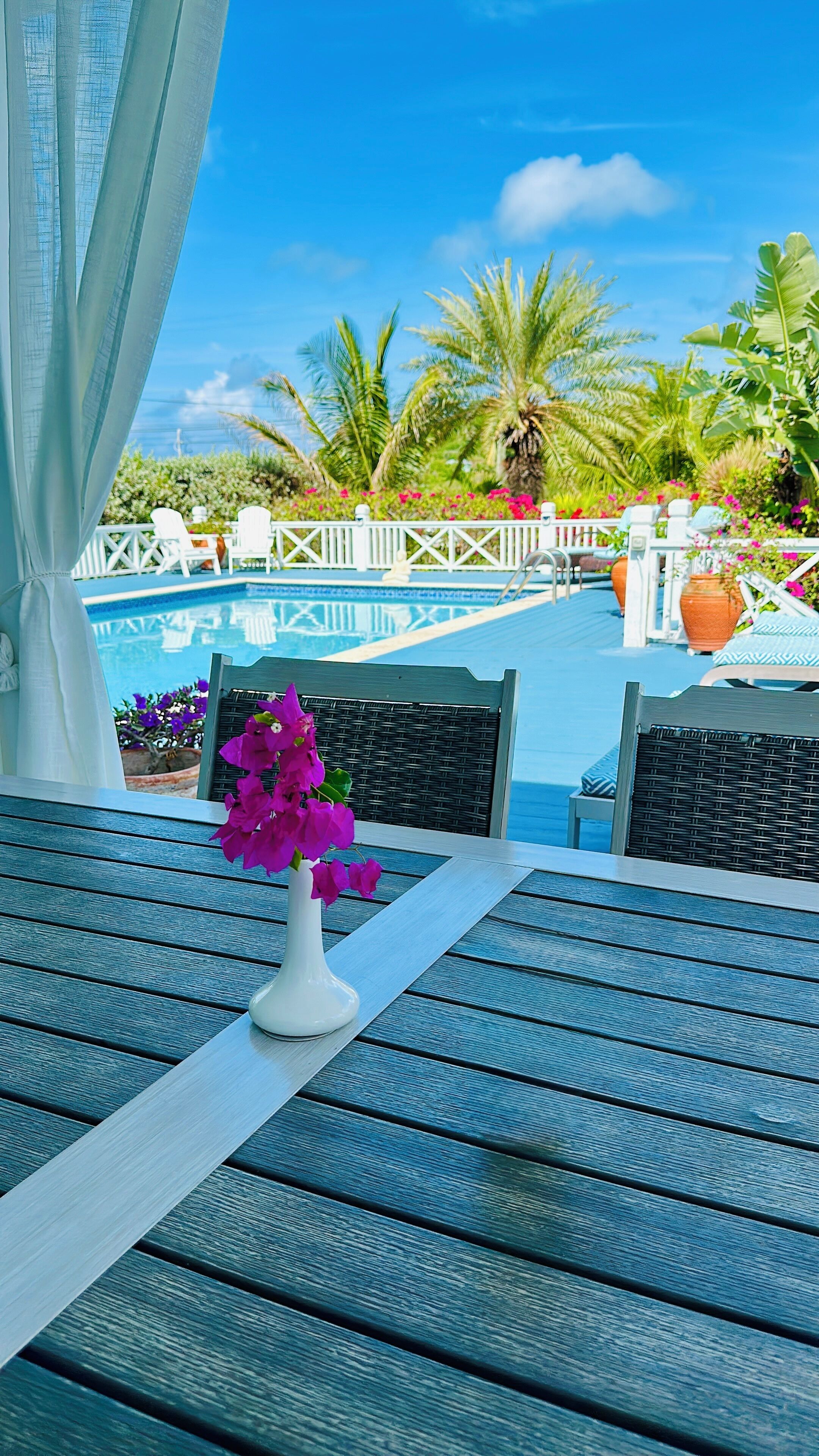 A poolside table with a white vase of purple flowers, white chairs, and a view of a pool with palm trees and a white fence.