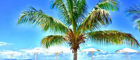 Beach nearby, sun-loungers, beach towels