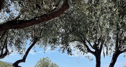 VILLA AVEC PISCINE PRIVEE chauffée (hors saison) proche mer Balagne Belgodere