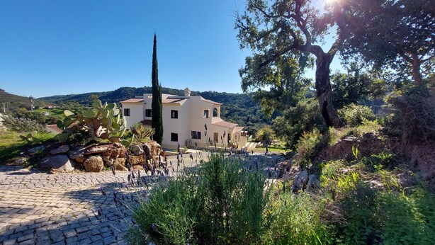 Une villa de style méditerranéen dotée d’une cour pavée, entourée de cactus et de plantes de lavande, le tout se dressant sur un fond de collines et d’un ciel bleu azur.