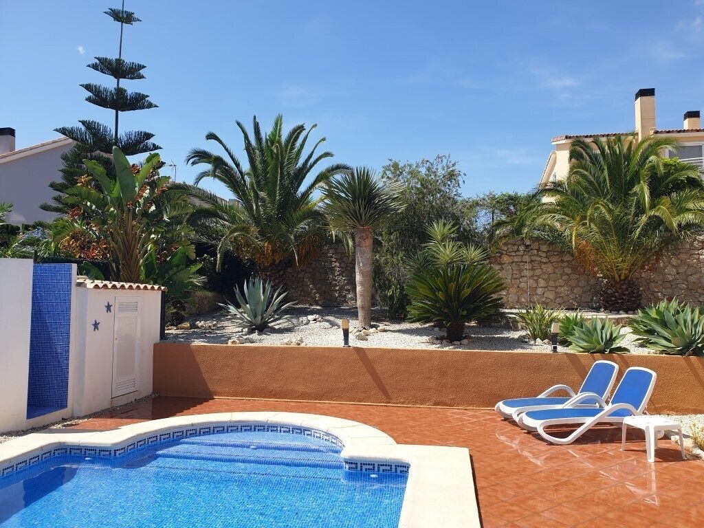 A pool area with a tiled edge, palm trees, and lounge chairs.