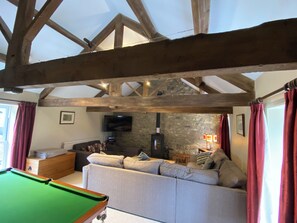 Smart TV, chimenea, reproductor de DVD y libros 