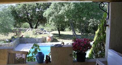 Large 200m² house with swimming pool (5 by10m) near Alès in the Cévennes, 8people