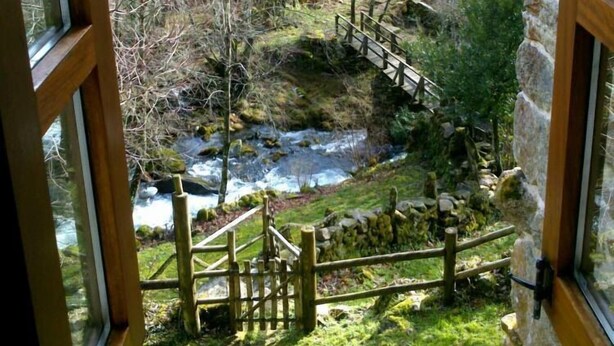 Vista desde una ventana sobre un área boscosa con un arroyo y un puente de madera.