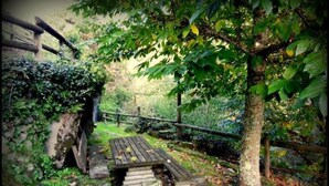 Un área de estar al aire libre de estilo rústico con una mesa de madera y bancos, rodeada de abundante vegetación y un muro de piedra.