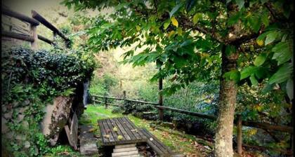 Ourense: Country house with garden beside the river - Entire house for rent.