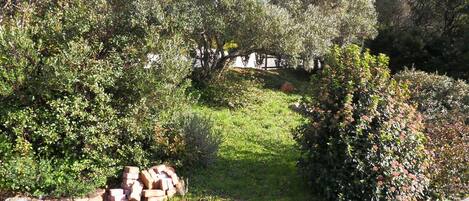 Áreas de la propiedad