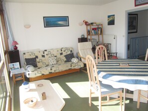 Televisio, DVD-soitin, kirjoja, stereot