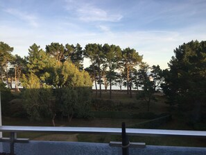 Property grounds - Sea view and direct access to the beach - St Philibert (Saint-Philibert)