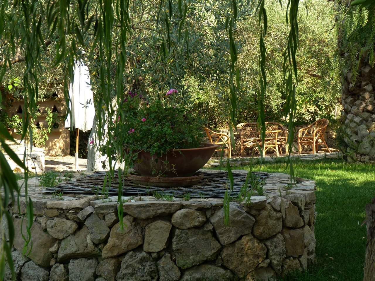 Terrace/patio