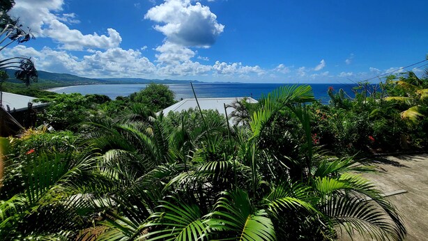 A tropical landscape with lush greenery and a view of the ocean. - Blue Diamond Paradise A little corner of paradise with a breathtaking sea view (diamant)