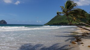 A beach with clear blue water, a palm tree, and a mountain in the background. - Blue Diamond Paradise A little corner of paradise with a breathtaking sea view (diamant)