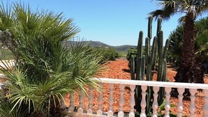 Een tuin met cactussen en palmbomen, een wit hekwerk en een heldere blauwe lucht.
