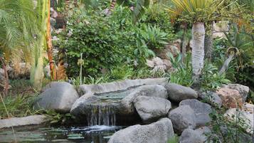 Terrein van de accommodatie