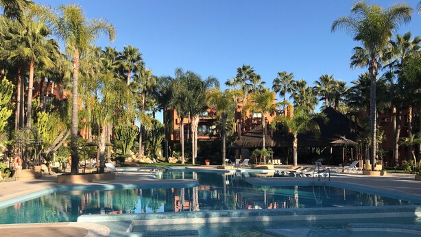 Un área de piscina con sillones de descanso y palmeras.