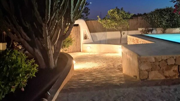 Uma área externa bem iluminada com um caminho de pedra que leva a uma piscina, rodeada por plantas diversas e um cacto.