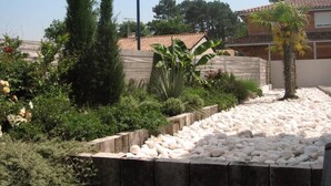 Un jardin où l’on trouve une grande variété de plantes et un sentier en pierre.