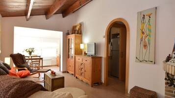 Smart TV, fireplace, video games, books