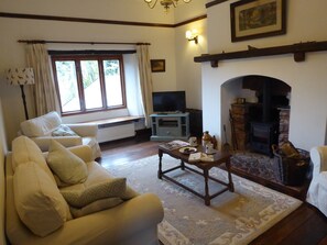 Fernseher, Kamin, DVD-Player, Bücher