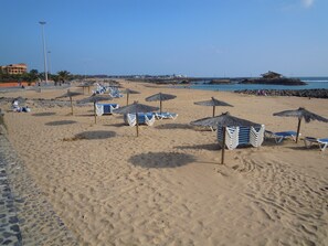 Una spiaggia con file di lettini e ombrelloni di paglia.