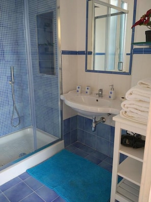 Shower, hair dryer, bathrobes, bidet