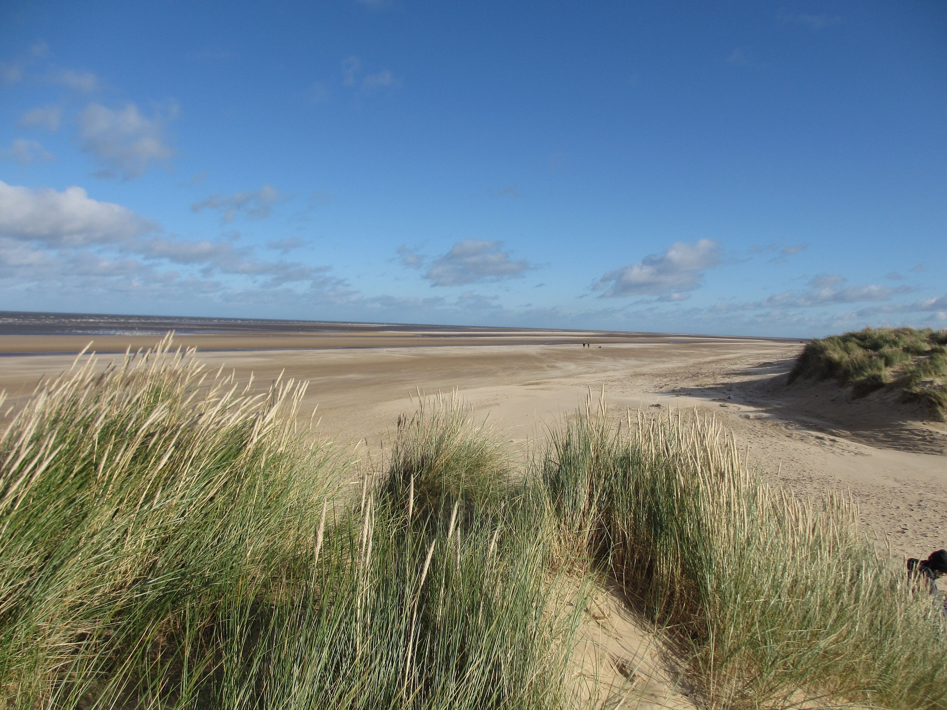 A coastal landscape with dunes and sparse vegetation.