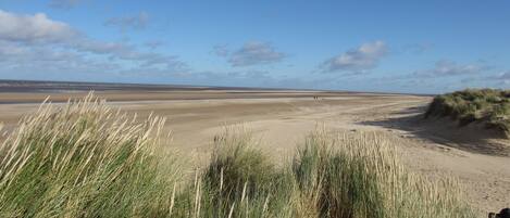 A coastal landscape with dunes and sparse vegetation.