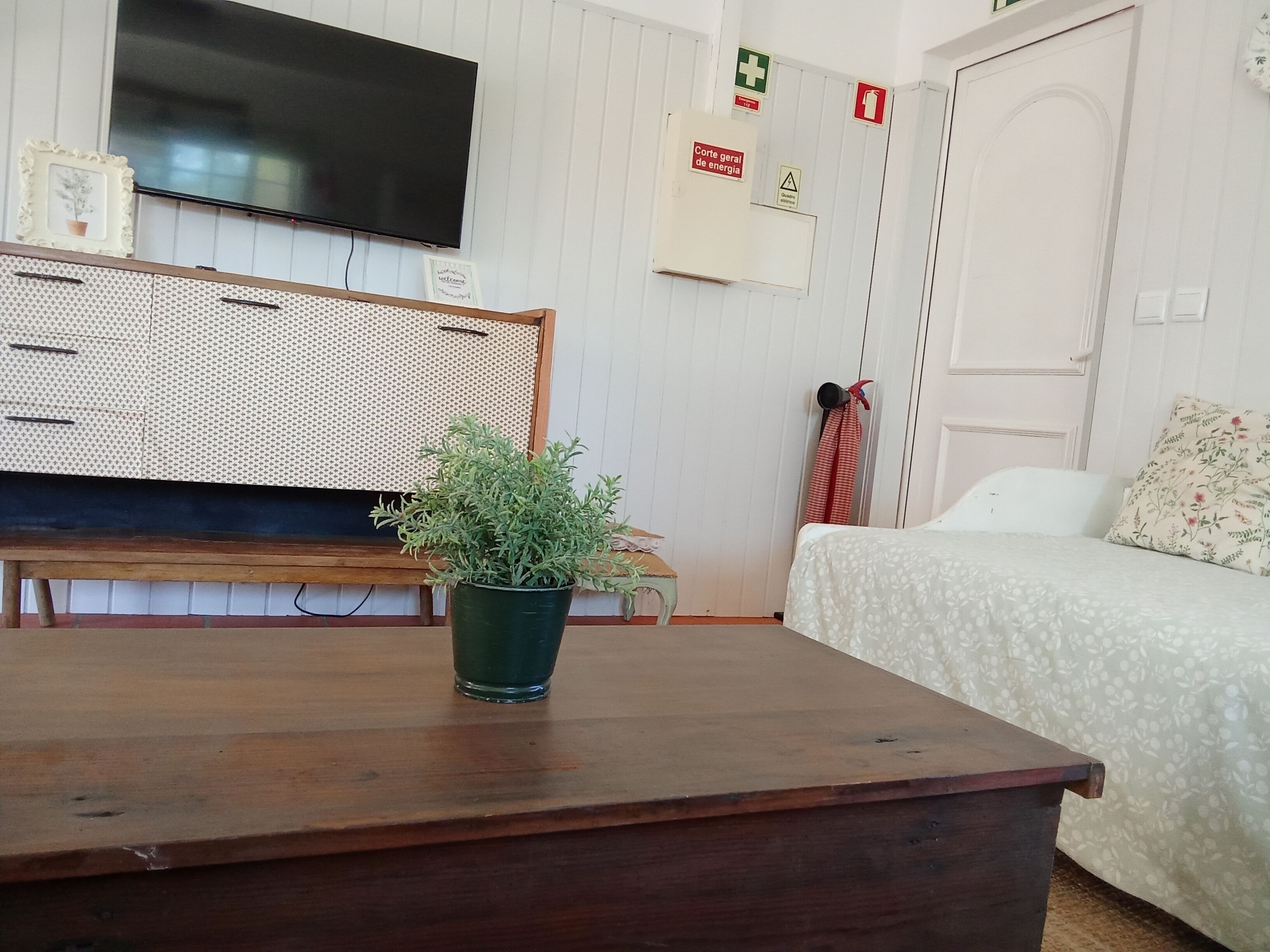 Una habitación con una mesa de madera, una planta en maceta verde, una cama con colcha estampada, un televisor en la pared y una puerta con marco blanco.