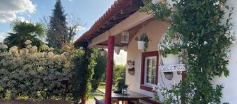 Quinta da Maínha. 4 bedrooms, 3 bathrooms, lgardens and 2 pools. Pets allowed !