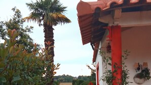 Een patio met betegelde vloer, een palmboom en een gebouw met een rood-wit gevel.