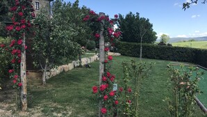 A garden with a wooden pergola covered in red roses, a stone wall, and a grassy lawn. - La Casetta, Casole d'Elsa, Siena. Join the real Tuscany countryside! (casole d'elsa siena)