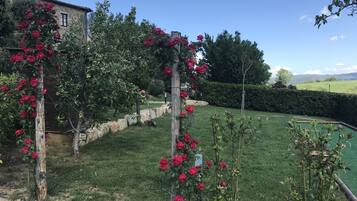 Terrein van de accommodatie