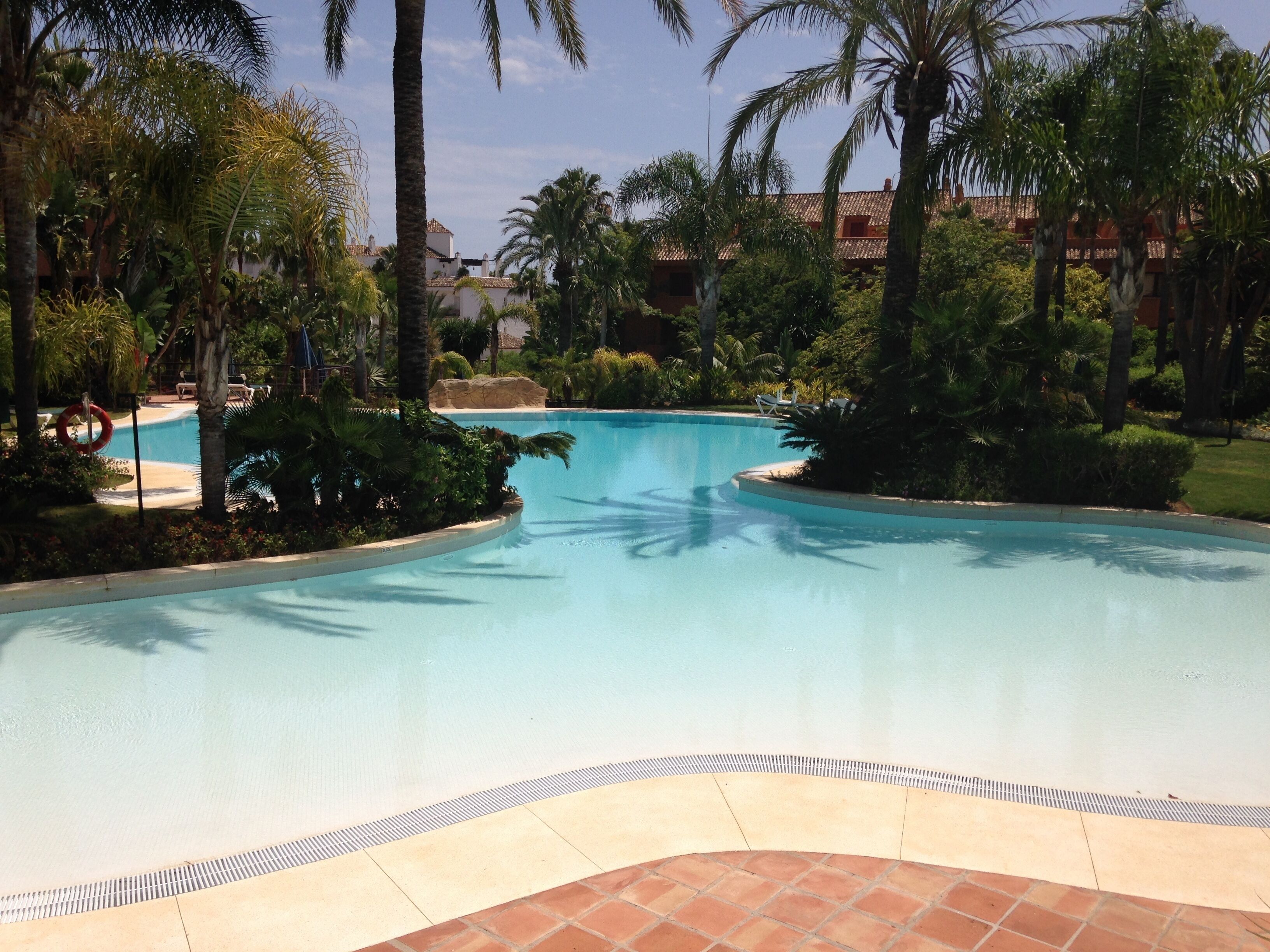 Una piscina con borde de azulejos, rodeada de palmeras y follaje.