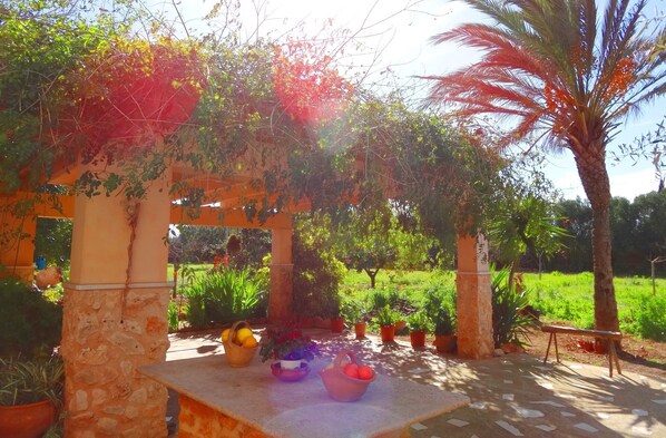 Property grounds - Son Antem, Air Conditioning, Wifi free, Private pool, 8 km From Cala Blava (Llucmajor)
