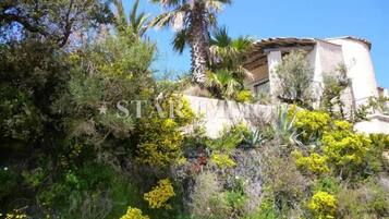 Áreas de la propiedad