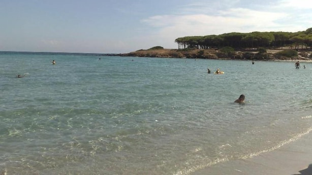 A beach with clear water, people swimming, and a rocky area with trees.