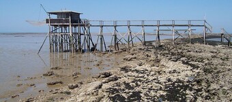 Casa con jardín cerca de la playa de Pontaillac (escuela de surf + casino)